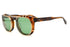 LANGLEY col.SPBRNSH sunglasses with clip